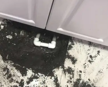 洪江查漏水哪家好